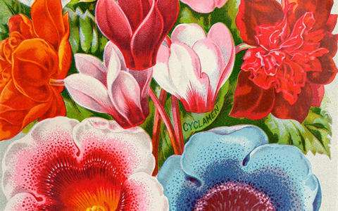 4.2.6 MJ中指令集合的介绍