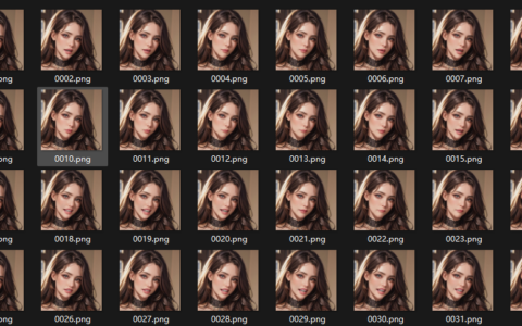 4.1-1 IS-NET-Pro视频转图片的插件