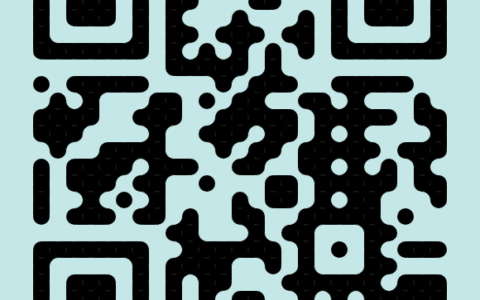 5-25 艺术二维码制作