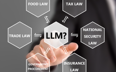 从编写 LLM 申请材料中学到的一些个人经验