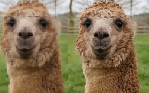 大语言模型的压缩技术