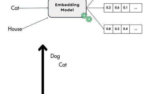 嵌入：AI 和 ML 的基石