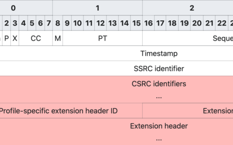 第九章 RTP/RTCP协议