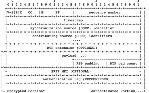 第十章 SRTP协议