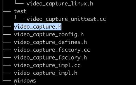 第五十二章 从源代码的角度分析视频采集架构和流程