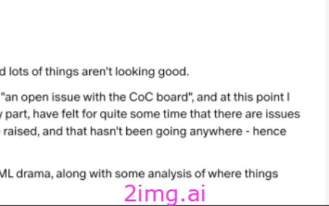 Linus 的铁腕决策：技术争议背后的思考