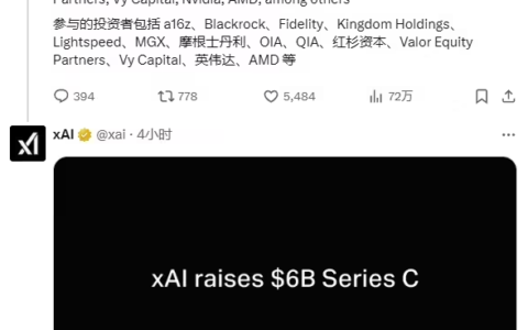 马斯克旗下 xAI：巨额融资背后