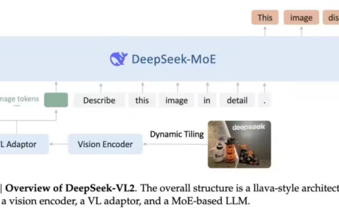 探秘DeepSeek-VL2 AI视觉模型的神奇力量