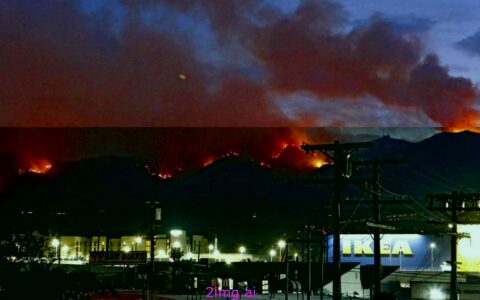 洛杉矶富人区：山火之下的“奢华”困境