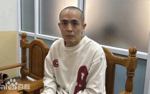 大快人心！绑架演员星星的幕后黑手落网