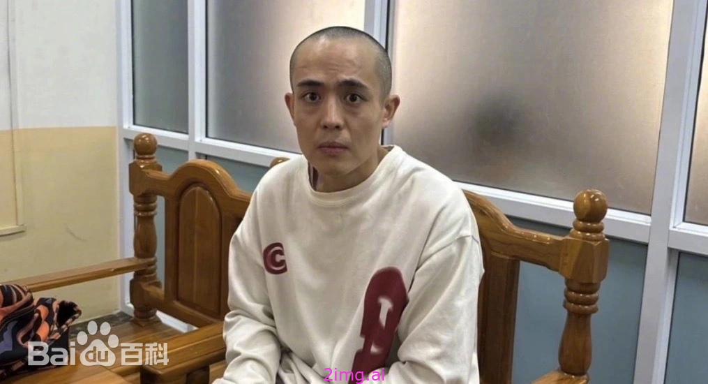 大快人心！绑架演员星星的幕后黑手落网