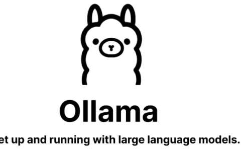 辣妈之野望 3 — Ollama各大模型全方位对比1