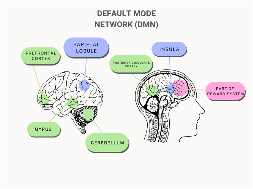 成为天才的窍门--大脑默认模式网络（DMN）