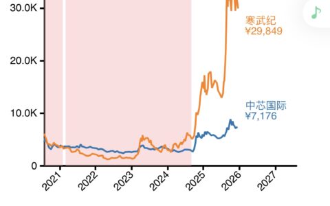 寒武纪与中芯国际商业对比分析报告