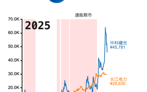 中科曙光与长江电力商业对比分析报告