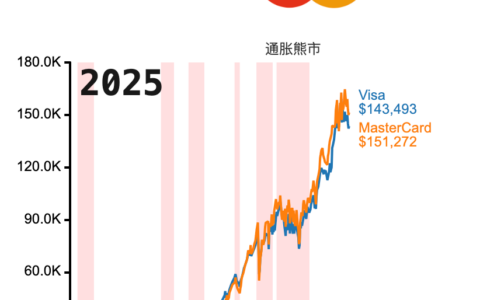 Visa与 Mastercard商业对比分析报告