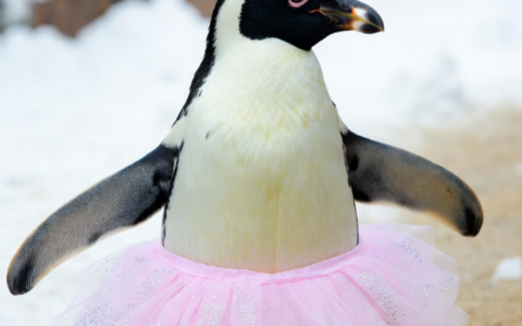 OpenClaw 产品分析